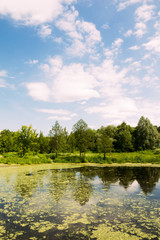 Landscape of the lake with trees and cloudy sky