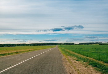 Fototapeta na wymiar Empty asphalt road with green fields and forest on the horizon