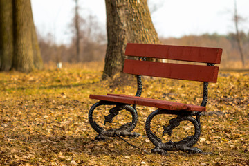 Fototapeta na wymiar Wooden bench in the park