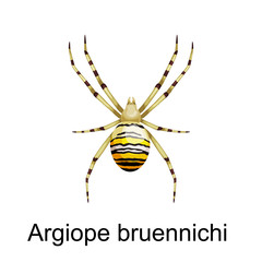 Spiders cartoon set, dangerous insects collection