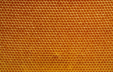 fresh honey in cells, honeycomb natural background