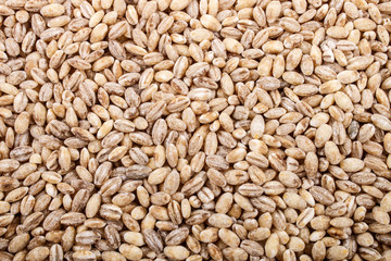 dry pearl barley, also to use as background