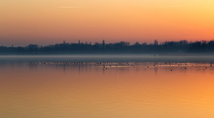 Sunset over the lake Balaton of Hungary with birds