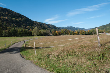 route de campagne en alsace