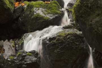 Cataract Falls redwood waterfall