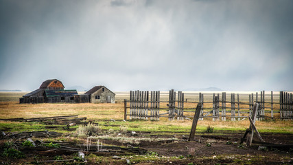 View of Mormon Row near Jackson Wyoming