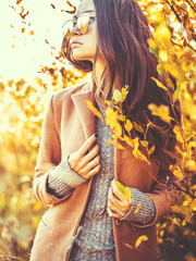 Beautiful lady surrounded autumn leaves