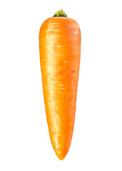 Carrot isolated on white background
