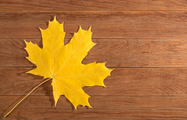 one yellow maple leaf on a wooden background