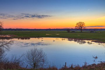 Die Elbtalaue im Februar / Sonnenuntergang über der Elbtalaue. Aufgenommen in der Nähe von Predöhlsau bei Dannenberg, (Naturpark Elbhöhen-Wendland, Niedersachsen), am 16.02.2016.