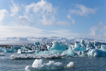 Glacier lagoon and icebergs