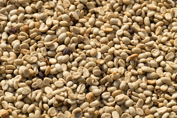 Background texture of green coffee beans