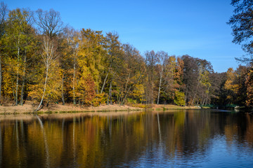 Jesień - kolory drzew © Senatorek