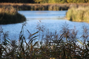 Naturschutzgebiet