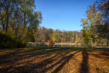 Jesień - kolory drzew © Senatorek