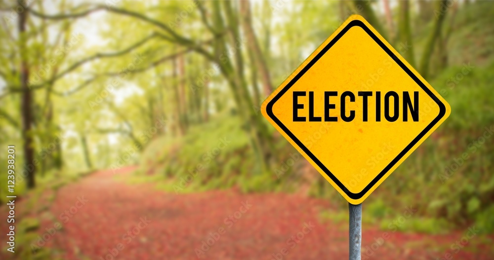 Poster composite image of election text