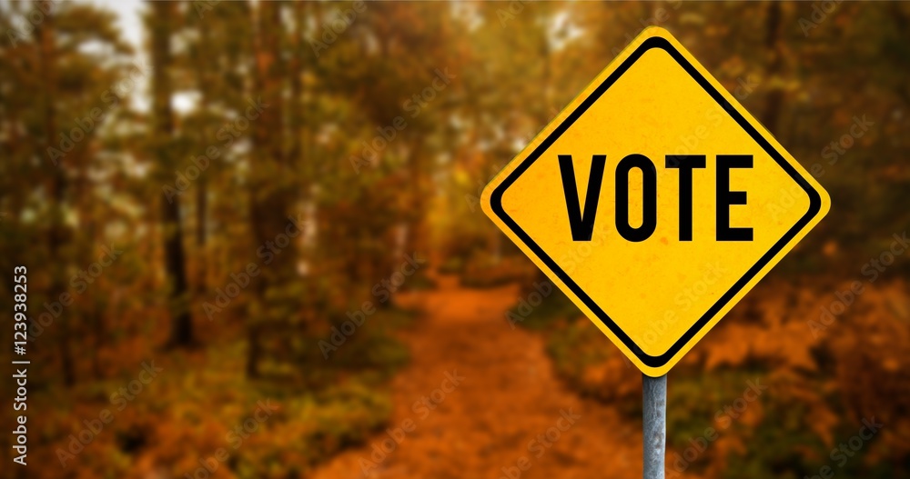 Poster composite image of vote text