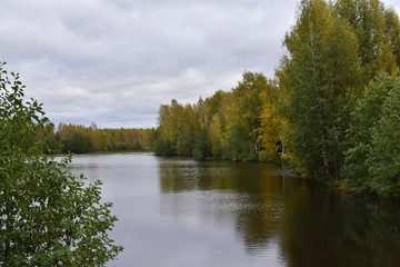 Fototapeta premium осенний пейзаж