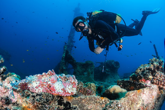 Diver with stonefish at shipwreck