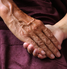 Fototapeta premium Tanned hands, male hands and bright the hands of a young woman. The elderly man holding the hand of a young woman.