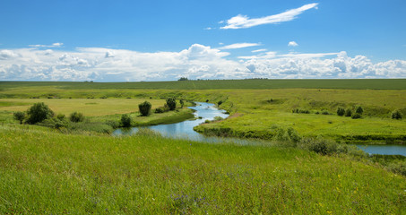 Fototapeta na wymiar Summer landscape.Riber Upa in Tula region,Russia.