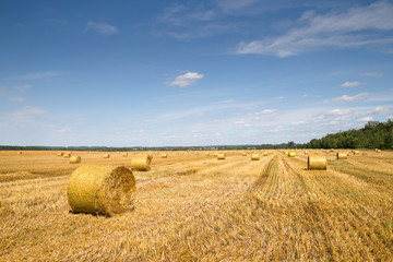 Fototapeta na wymiar Beautiful landscape with straw bales in end of summer