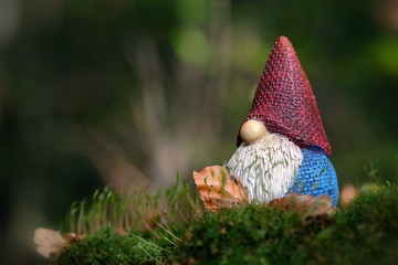 Wichtel auf bemoostem Stamm im Wald