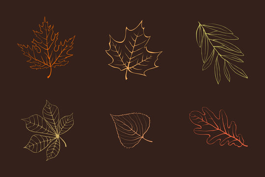 Vector autumn leaves design elements multicolor on dark brown.