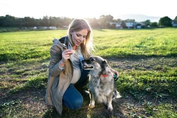 Unrecognizable pregnant woman with dog in green sunny nature