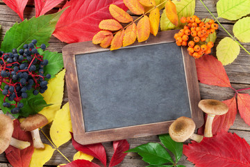 Autumn chalkboard