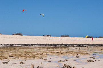Fuerteventura, Isole Canarie: kite surf a Grande Playas beach, una delle spiagge più famose per il surf e il kitesurf, il 31 agosto 2016 