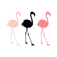 Fototapeta premium Pink flamingos vector illustration set silhouette