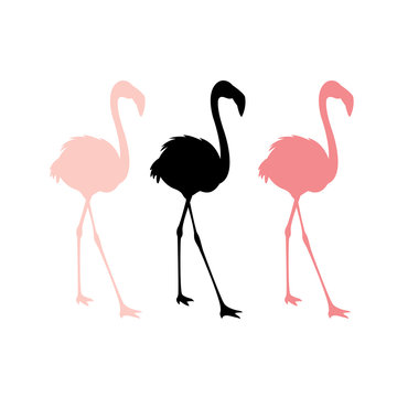 Pink flamingos vector illustration  set silhouette