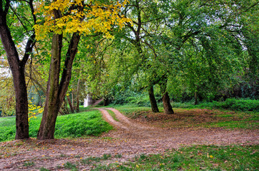 L'automne est l&agrave; !