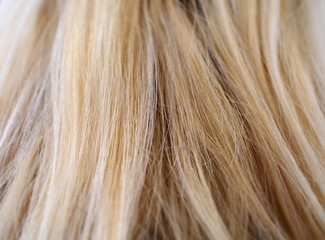 Blonde Haarpracht mit feinen Farbtönen