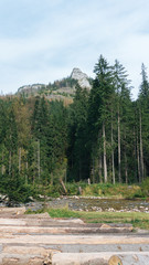 View of a Koscielisko Valley in polish Tatras Poland. - 123946669