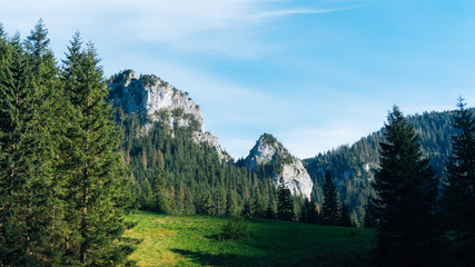 View of a Koscielisko Valley in polish Tatras Poland. - 123947407