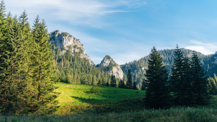View of a Koscielisko Valley in polish Tatras Poland. - 123947431
