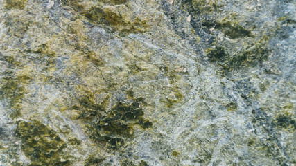Stone texture background Serpentinite wide angle light