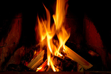 Burning wood in a fireplace