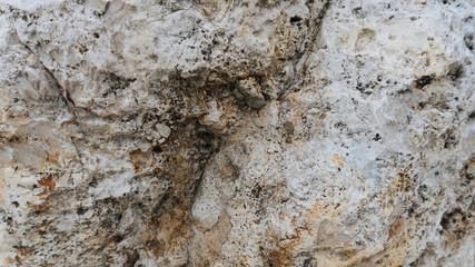 Upper limestone jurassic beige famous Jurassic marble. The texture of the natural stone particles ancient flora and fauna substituted calcite. Natural building materials Jura Gelb. - 123949403