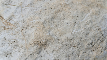 Upper limestone jurassic beige famous Jurassic marble. The texture of the natural stone particles ancient flora and fauna substituted calcite. Natural building materials Jura Gelb. - 123949416