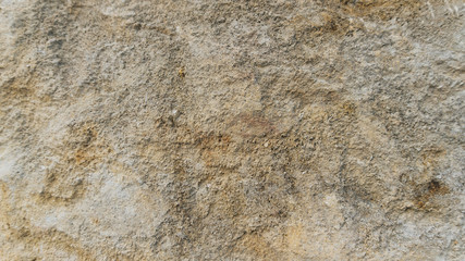 Pinczow limestone texture usable as texture or background - 123949626