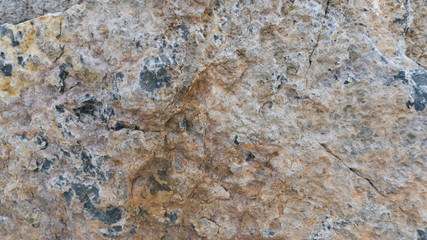 Debnik limestone texture usable as texture or background - 123949665