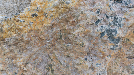 Debnik limestone texture usable as texture or background - 123949676