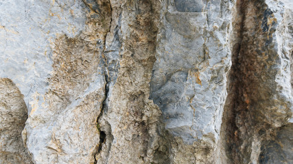 Debnik limestone texture usable as texture or background - 123949699