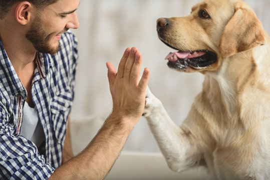 high five with dog and human