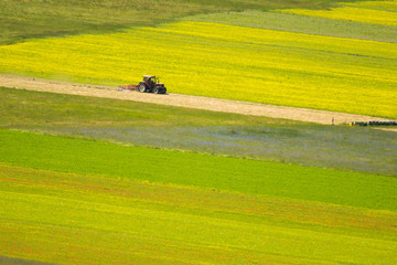 Obraz premium Castelluccio di Norcia