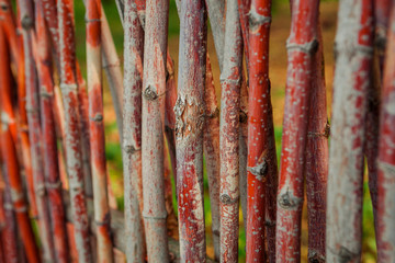 fence of twigs closeup