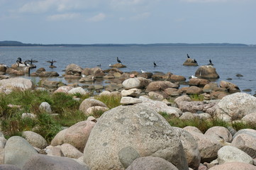 Natur pur